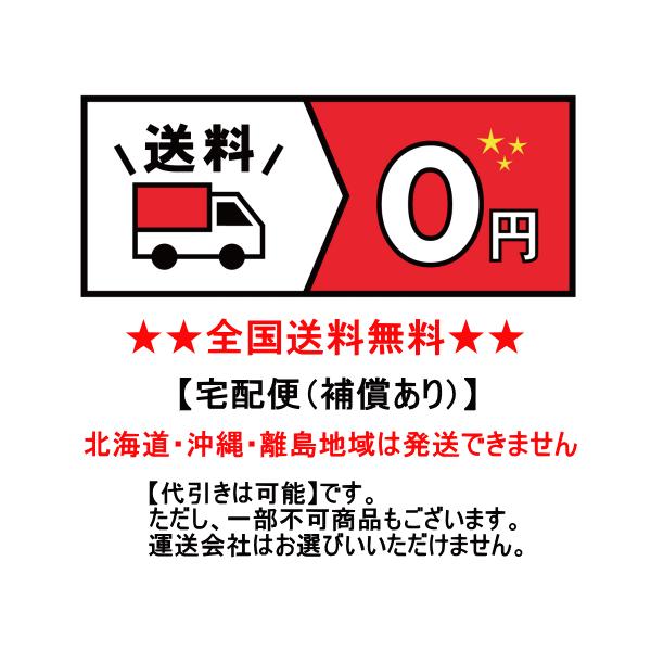 【即納】石原出版社 石原10年日記 2024年〜2033年 B5判 ブラウン 10年 日記帳 ダイアリー 1日4行 全488ページ｜hot-you777｜09