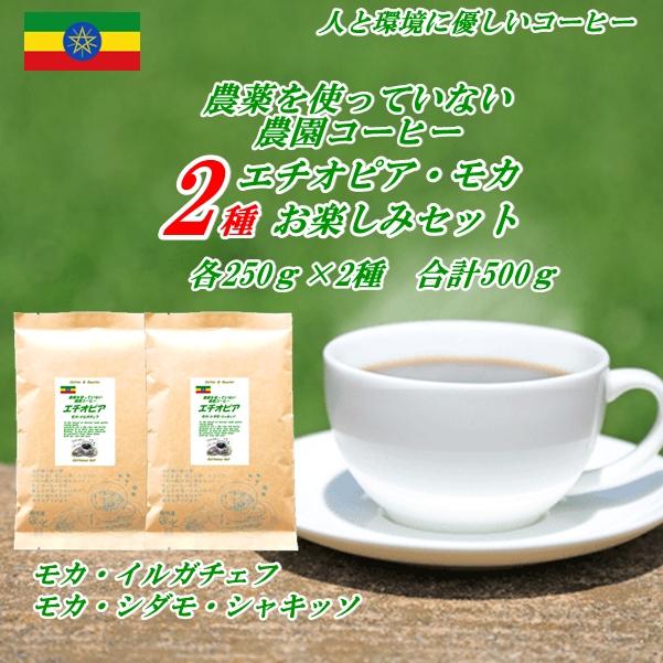 コーヒー エチオピア 2種セット 500g 農薬を使っていない農園コーヒー