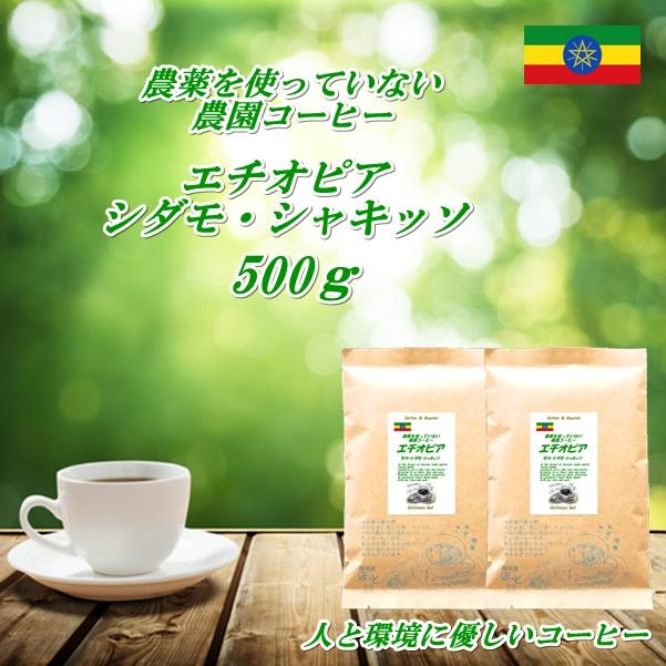 農薬を使っていない農園コーヒー エチオピア モカ シャキッソ 500g