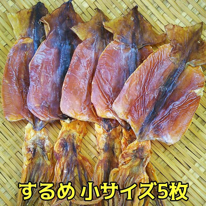 選べる スルメ 送料無料 するめ 小サイズ5枚（17cm前後） または 丸干