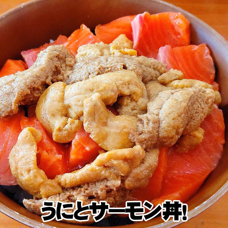 生ウニ 生うに 国産 瓶詰め 生ウニ瓶 無添加 青森 雲丹 ミョウバン不使用 生雲丹 直送 人気 東北 天然生ウニ レシピ 食べ方 ウニ丼 ...
