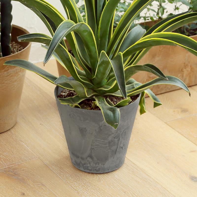 植木鉢 おしゃれ amabro アートストーン Mサイズ　セット amabro 植木鉢 おしゃれ アートストーン Mサイズ ART STONE