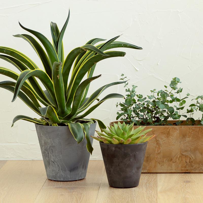 植木鉢 おしゃれ amabro アートストーン Mサイズ　セット amabro 植木鉢 おしゃれ アートストーン Mサイズ ART STONE
