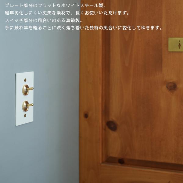 ホワイトスチールプレート 2スイッチ US スイッチ アメリカンスイッチ