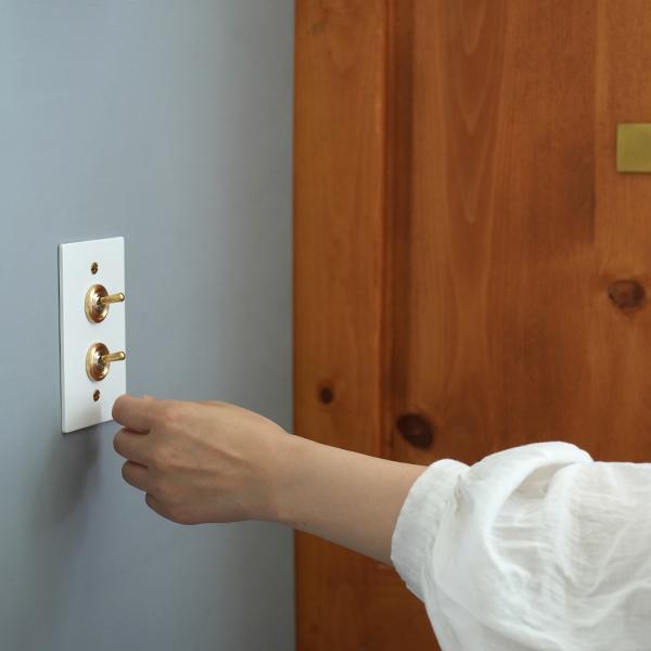 ホワイトスチールプレート 2スイッチ US スイッチ アメリカンスイッチ