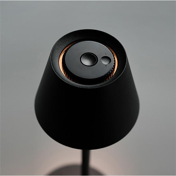 PLANTE portable lamp L BK 照明,灯具,ポータブルランプ,テーブルランプ,LED対応,鉄,スタンド_1