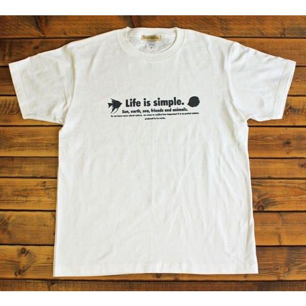 熱帯魚柄　エンゼルフィッシュ　ディスカス　コリドラス　メンズTシャツ　白　｜hotcream