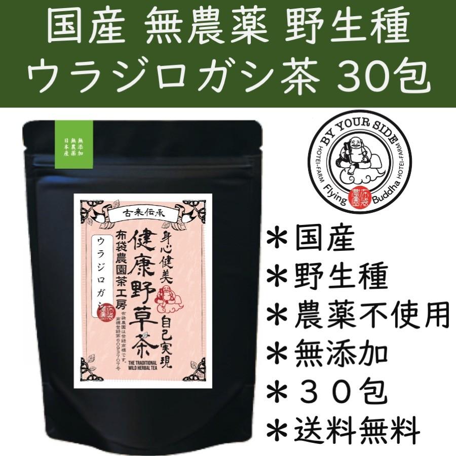 布袋農園 ウラジロガシ茶 国産 無農薬 無施肥 自然栽培 4g入り ティーバッグ 30包 2137 000034 みになる商店 通販 Yahoo ショッピング