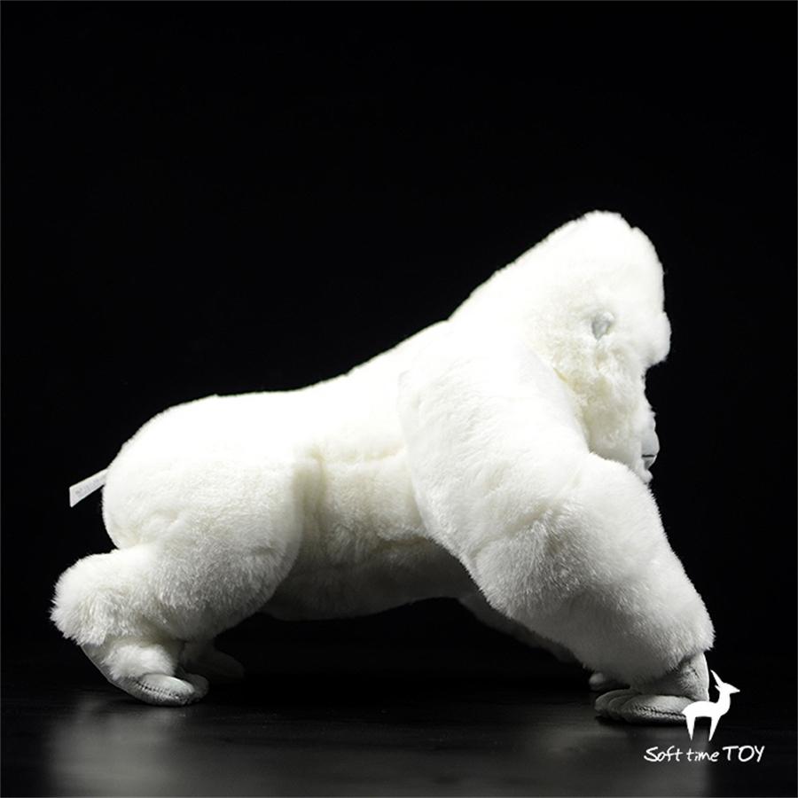 ゴリラのぬいぐるみ Amazon.co.jp: XCVXCV ホワイトゴリラぬいぐるみ かわいい