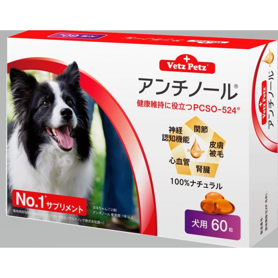 アンチノール 犬用 60粒 2箱 - gosmartroof.com