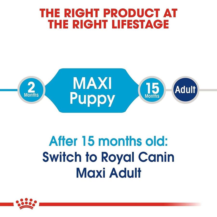 ロイヤルカナン SHN マキシ ジュニア 犬用 10kg SHN マキシ ジュニア 犬用 10kg