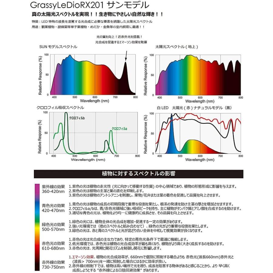 ボルクスジャパン グラッシーレディオ RX201 サン 6500K グラッシーレディオ RX201 サン 6500K