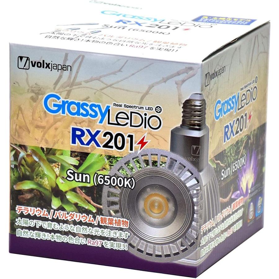 【最終】 ボルクスジャパン グラッシーレディオ RX201 サン 6500K 【L1933564232】(9881円)