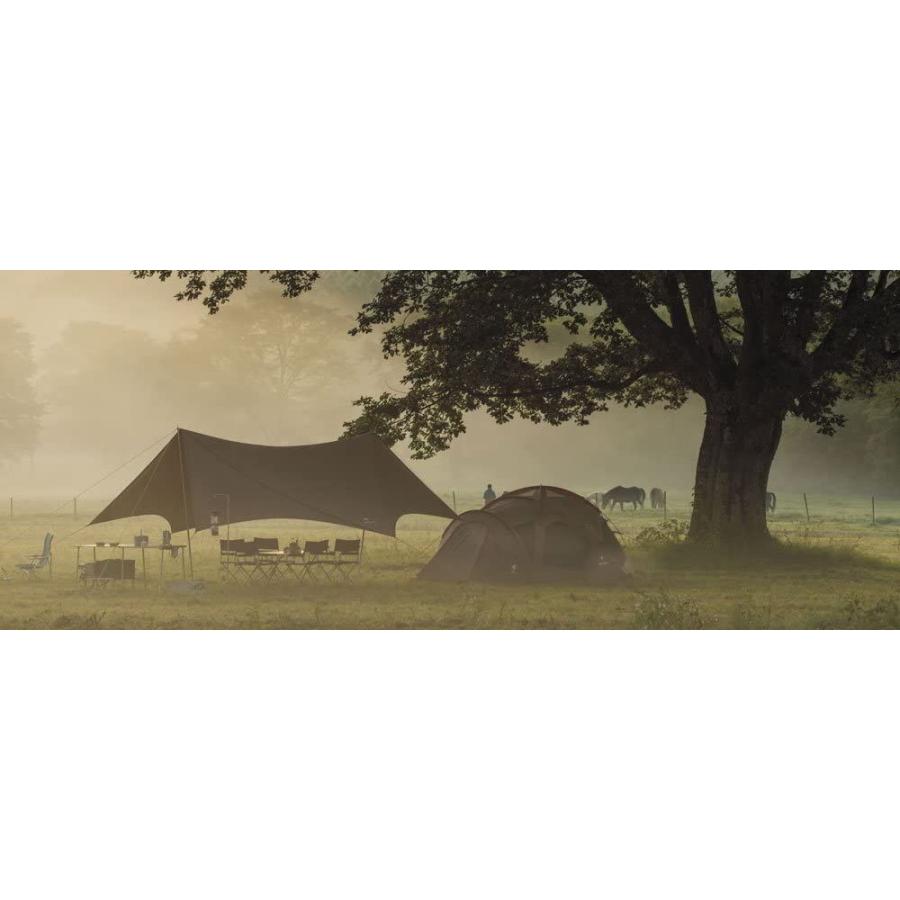 スノーピーク(snow peak) HDタープ シールド ヘキサエヴォ Pro. TP-250R