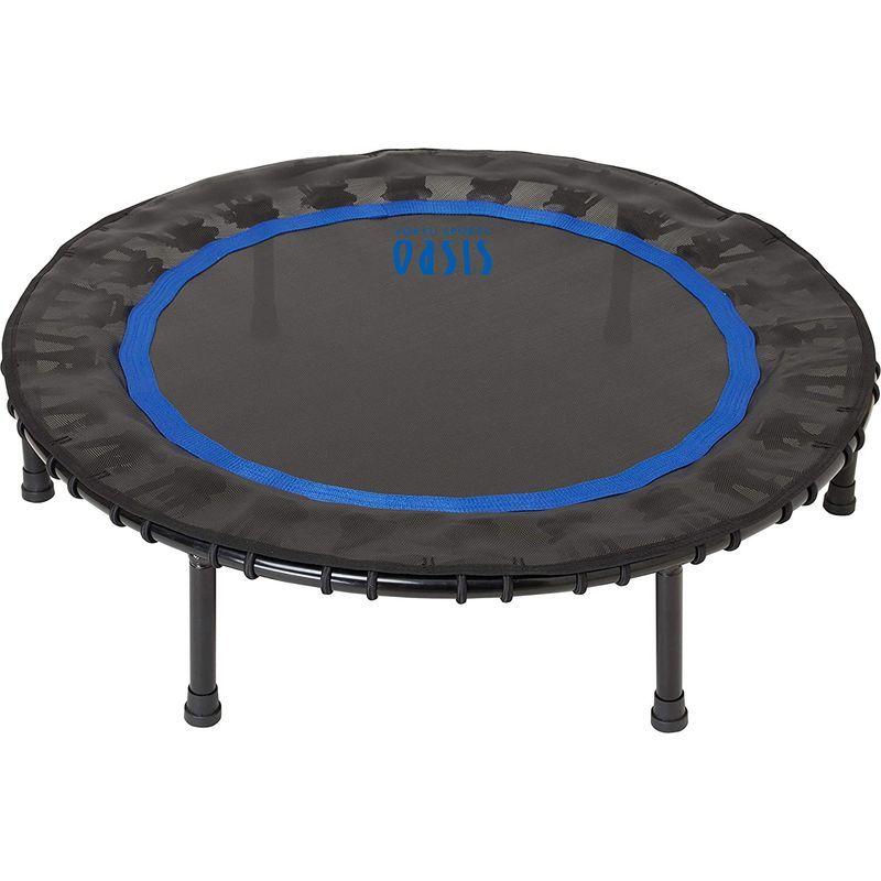 東急スポーツオアシス トランポリン Active 36インチ ゴムバンド式 足落ち防止設計 直径92cm×高さ21cm 静音ト トランポリン トランポリン Active 36インチ ゴムバンド式 足落ち防止設計 直径92cm×高さ21cm 静音ト 商品名 　 約