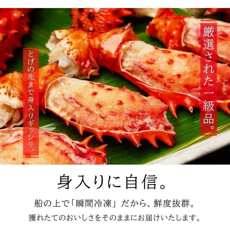 人気スポー新作 送料無料 花咲ガニ 姿 900g 花咲蟹 北海道 はなさきがに カニ かに 海鮮ギフト かに鍋 Kani 札幌場外市場 御歳暮 グルメ Babylonrooftop Com Au