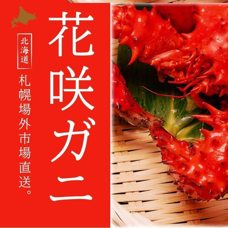 人気スポー新作 送料無料 花咲ガニ 姿 900g 花咲蟹 北海道 はなさきがに カニ かに 海鮮ギフト かに鍋 Kani 札幌場外市場 御歳暮 グルメ Babylonrooftop Com Au