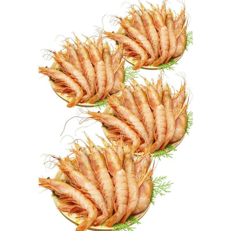 安い購入 特大 アルゼンチン 赤エビ 赤えび 刺身 40尾 えび エビ 海老 冷凍 バーベキューセット 海鮮 q バーベキュー 越前宝や 全品送料無料 Turningheadskennel Com