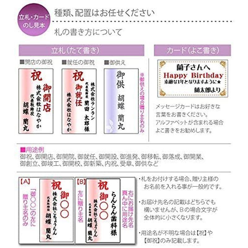 胡蝶蘭専門店はなやか 胡蝶蘭 白大輪 3本立ち 24輪以上 胡蝶蘭 白大輪 3本立ち 24輪以上 　