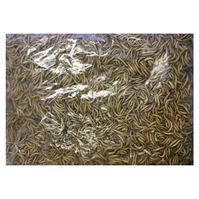 クール便発送 冷凍ミルワーム 業務用 1kg 12個 最大99 オフ