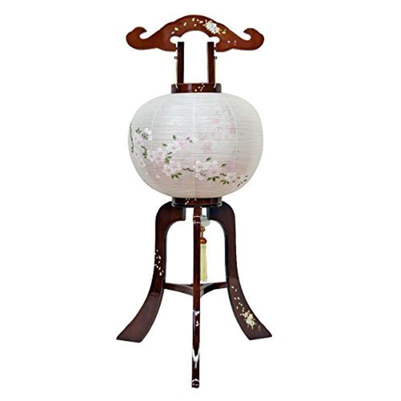 服部茂樹商店 行灯・盆提灯/ちょうちん 12号そめい吉野 1対 (春慶塗)