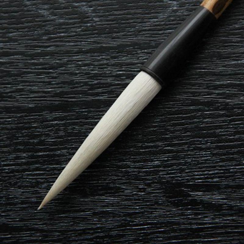 中古】 小骨折の内固定 AO ASIFグループの手術手技