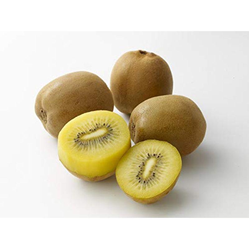 ニュージーランド産 ゴールドキウイ ゼスプリ 格安saleスタート 約3 27 30玉入り