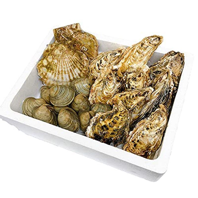 市場 江戸前 活ホンビノス 業務用