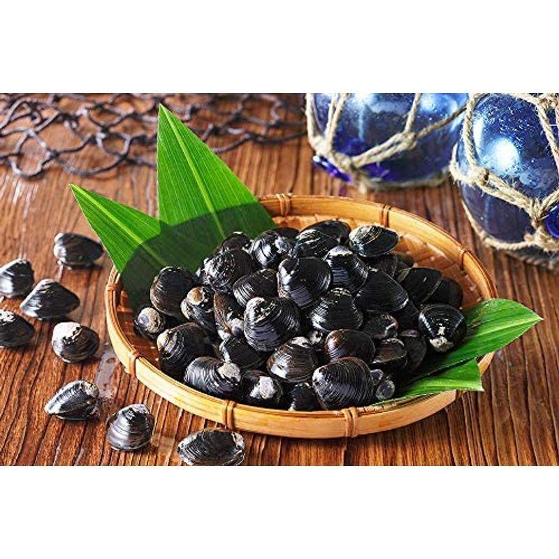 甲羅組 天然 1kg 500g×2P 大和しじみ 急速冷凍 生 格安新品 大和しじみ 甲羅組 天然 1kg 500g×2P 大和しじみ 急速冷凍 生 格安新品 大和しじみ