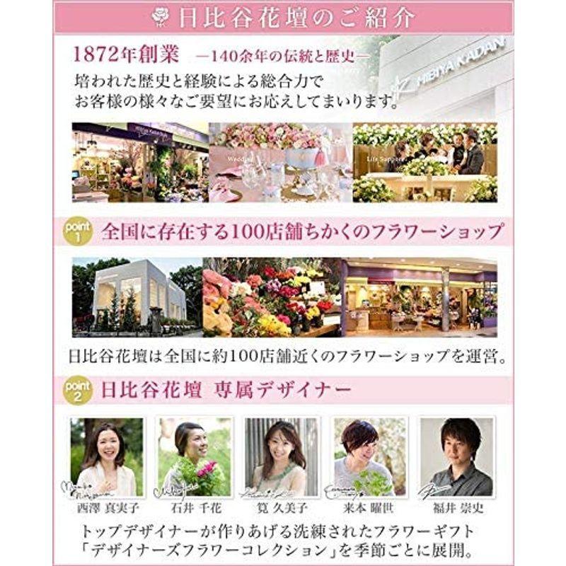 日比谷花壇 果樹 ブルーベリー2本植え Hotlife 通販 Yahoo ショッピング