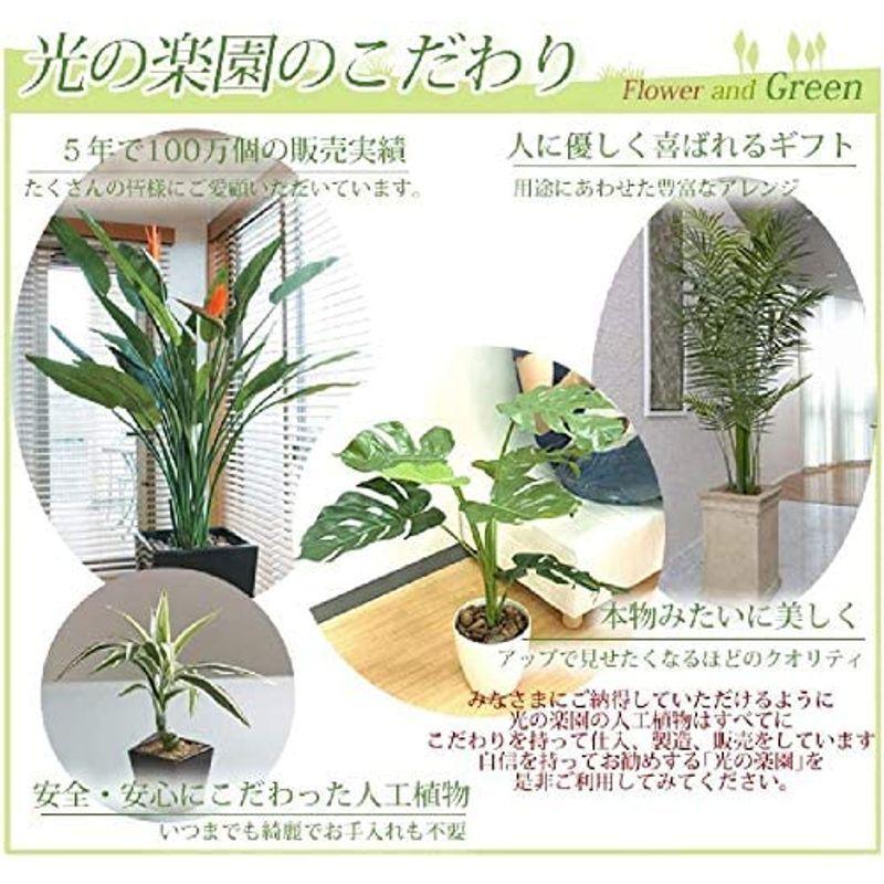 《アートグリーン》《人工観葉植物》光触媒 光の楽園 トラベラーズパーム1.1 人工観葉植物 光触媒 　 アートグリーン 光の楽園 トラベラーズパーム1 ×