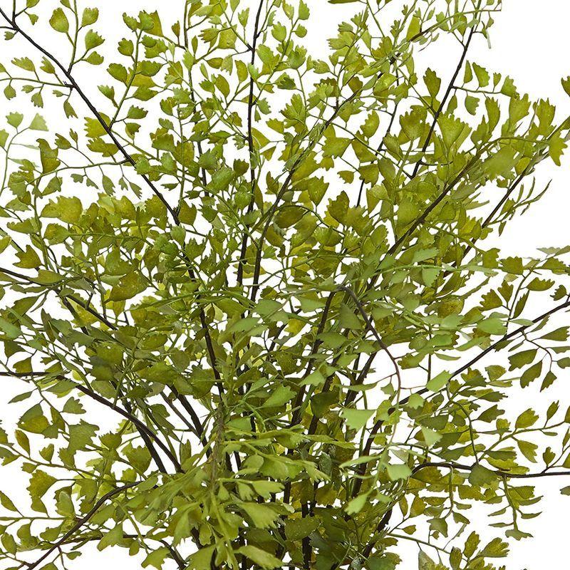 Nearly Natural 1 メイデンヘア 人工プランター植物 Natural メイデンヘア 人工プランター植物