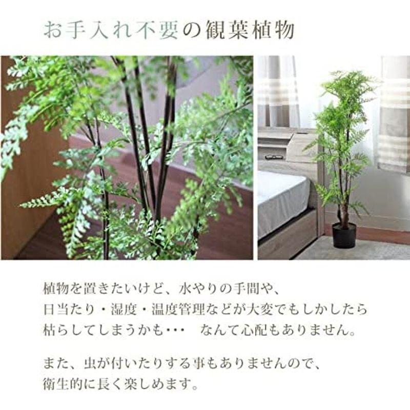 マナベインテリアハーツ フェーン フェイクグリーン 大型 人工観葉植物 おしゃれ HA39 フェーン フェイクグリーン 大型 人工観葉植物 おしゃれ HA39 　