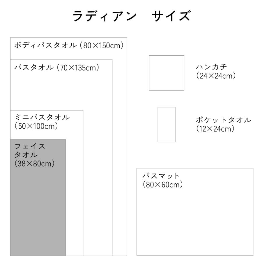Hotman（ホットマン） タオル 1秒タオル ラディアン フェイスタオル 38