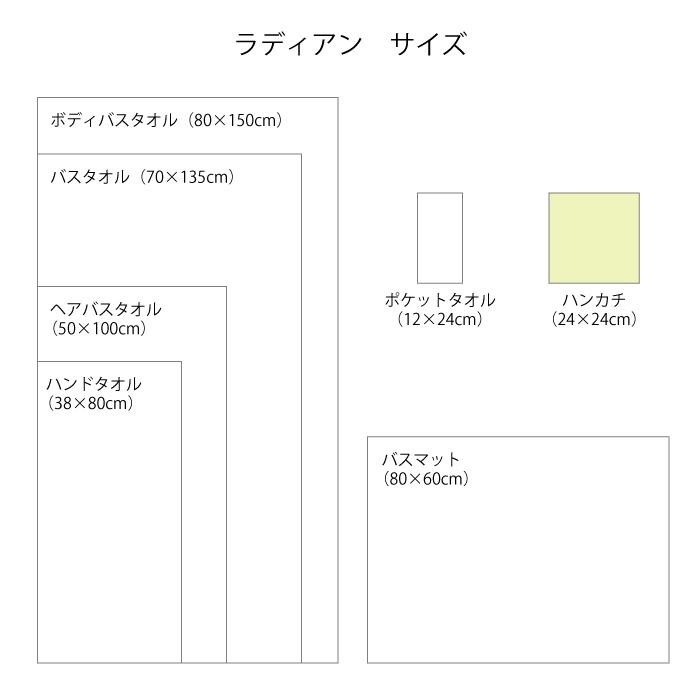 Hotman（ホットマン） 1秒タオル ラディアン ハンカチ 24×24cm 日本製