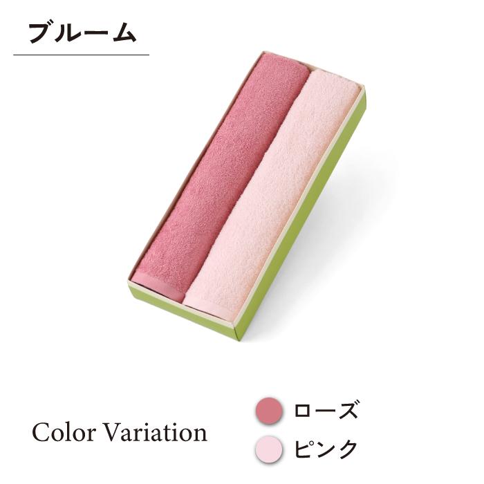Hotman（ホットマン） 公式ホットマン 1秒タオル ホットマンカラー12