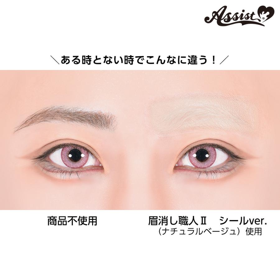アシストウィッグ【眉消し職人II シールVer. （3シート入り