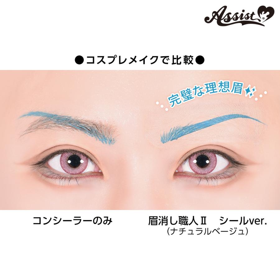 アシストウィッグ【眉消し職人II シールVer. （3シート入り