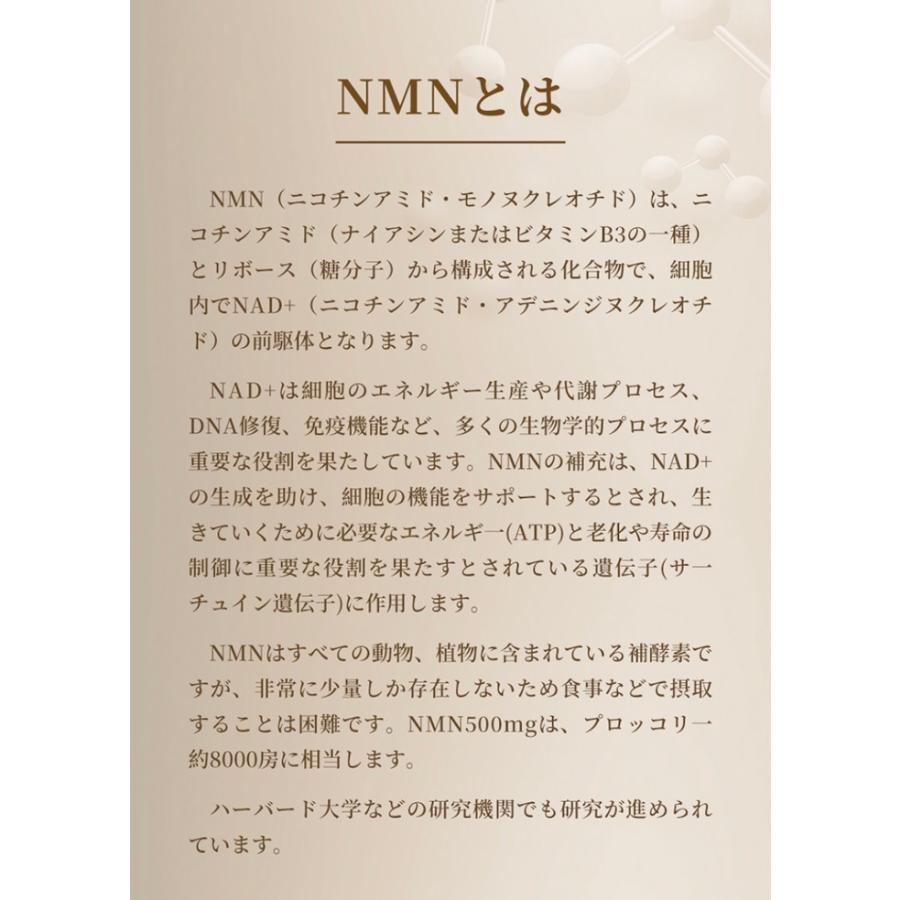 スーマスプロ【NMN15000 Excellent】サプリメント ニコチン スーマスプロ【NMN15000 Excellent】サプリメント ニコチン