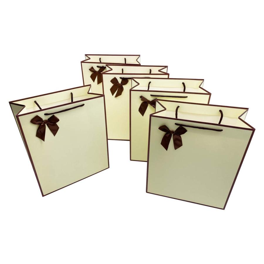 選べる楽しさ ギフトバッグ ラッピング袋 大 手提げ袋 紙袋 A4サイズ 誕生日 卒業 入学 リボン付き holoimua (ベージュ） の商品画像