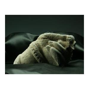 ガンダーラ仏 仏手 2-4世紀石像 一点もの ガンダーラ 灰色片岩 仏手