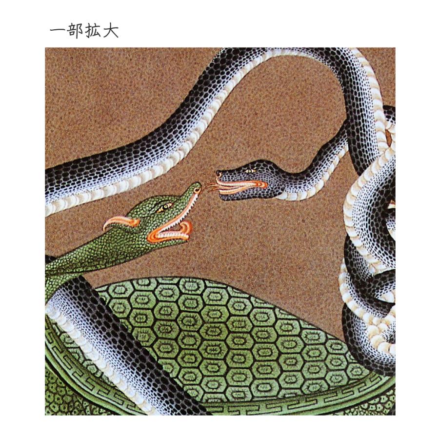 色紙 開運 風水 北方神 玄武 四神 送料無料 送料込み （※送料無料は