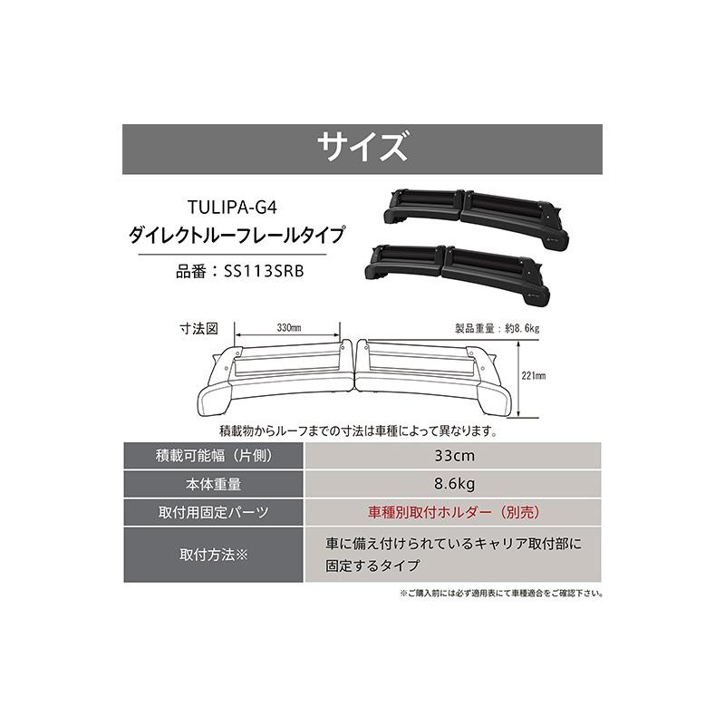 TERZO スキースノーボード専用キャリアセット ブラック RAV4