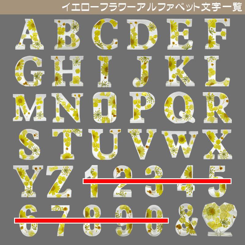 イニシャルオブジェ A〜M 中型 (H)6cm×(D)2cm ハーバリウム風 花入り