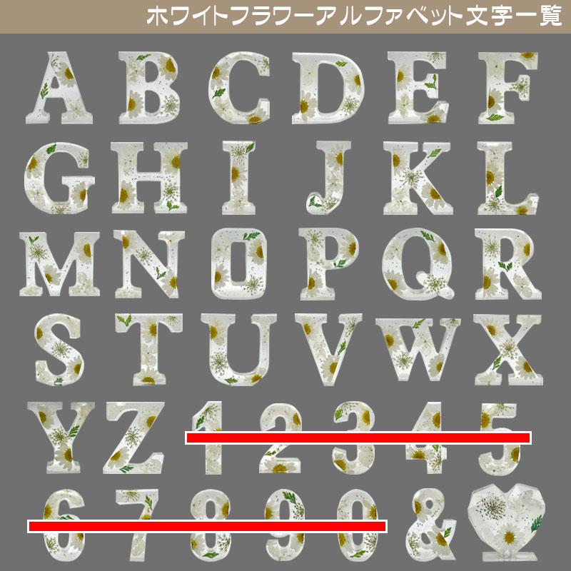 イニシャルオブジェ A〜M 中型 (H)6cm×(D)2cm ハーバリウム風 花入り