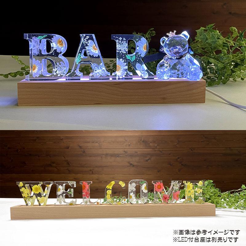 イニシャルオブジェ N〜Z 中型 (H)6cm×(D)2cm ハーバリウム風 花入り