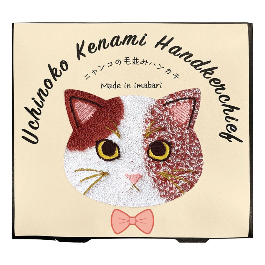 ハンカチセット 猫 花 ストロベリー 今治タオルハンカチ 猫 ハンカチ Uchinoko Kenami Handkerchief
