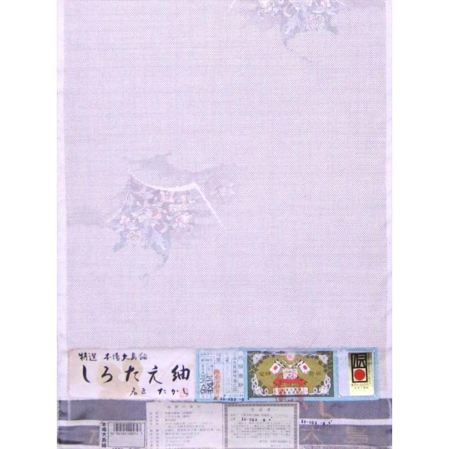 本場白大島紬 No.114 本柄・しろたえ紬【訳有り】 : tmg114 : ゆかた 