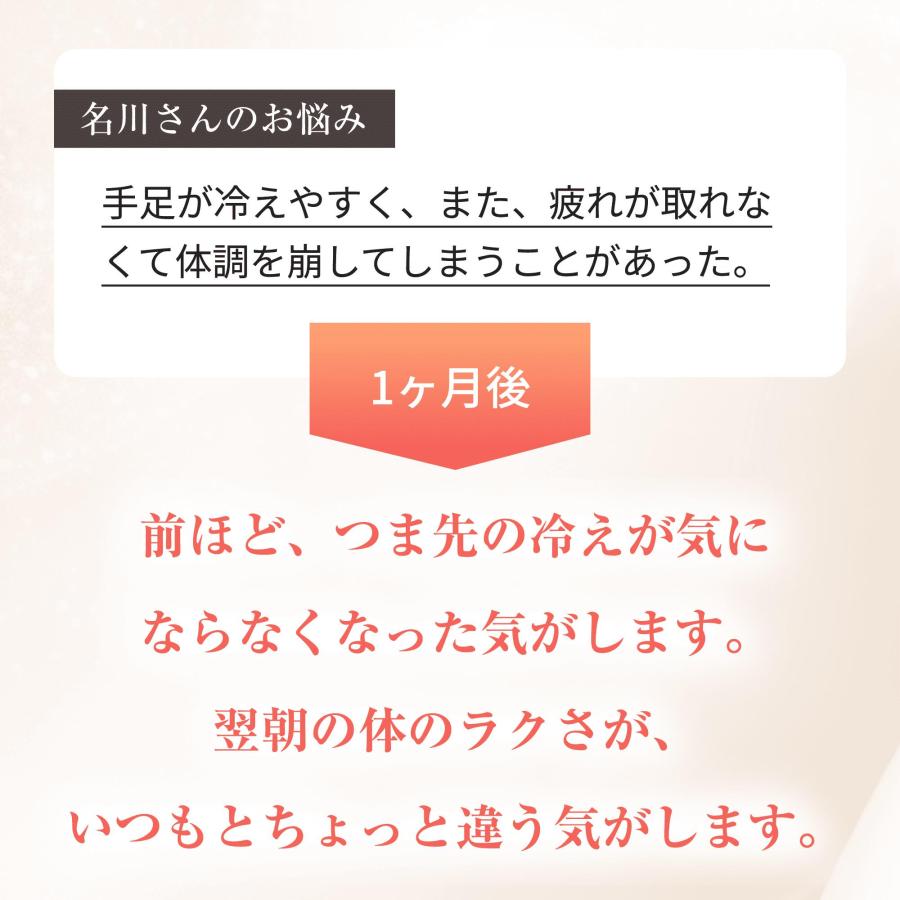 HOT TAB（ホットタブ） 入浴剤 ウェルネス 90錠 医薬部外品 重炭酸入浴