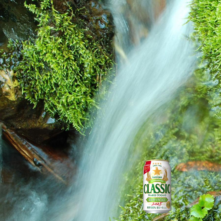 お歳暮 御礼セット サッポロクラシック ビール 2025 富良野VINTAGE 500